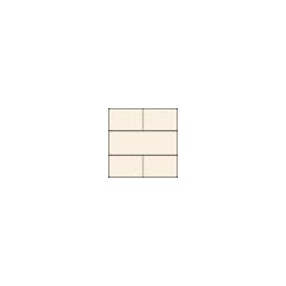 NI10040050